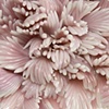 Peach Blow Away