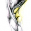 "inner scales"