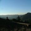 mt. tam