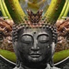 mantid mahatma
