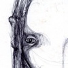 "seildonja (close)"