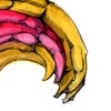 "s curve texture"