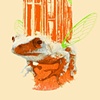 Flying Cottage Croaker