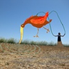 Flying A Chicken