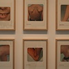 Body Parts