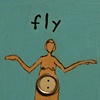 Fly