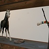 Close-Up Repair Shop