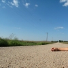 Road Work #1