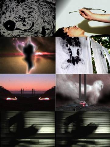 The New Moire, video stills