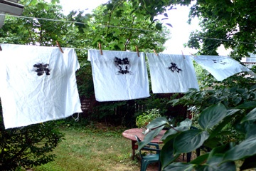 The New Moire, Production Still