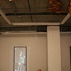 Installation shot from EXHIBITION 211