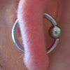 Healed Orbital (left ear) linked up.