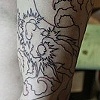 double dragon sleeve 2