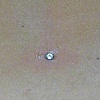 Fresh Dermal anchor in the center, two healed dermal anchors on either side.  All three on the low back.
