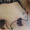 Ah-Bear-ica 