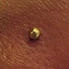 fresh nostril piercing with gold plated surgical steel stud
