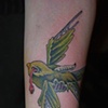 Zombie bird