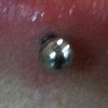 fresh vertical labret. (zoomed in view)