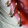 Three 4 week old cartilage piercings (above) and three fresh cartilage piercings (below).  Six more to come.