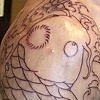 koi sleeve 2