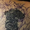 cover up #2