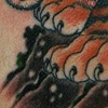 tora