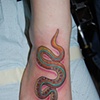 Foot snake