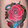 hebi to rose