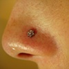 Fresh nostril piercing with flower cz.  LOVE THIS JEWELRY!!