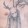 Torso tattoo