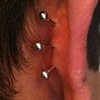 Three fresh conch piercings with Labret studs. (back view)  These beads will eventually be spikes.