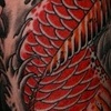 koi dragon