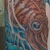 in progress