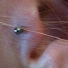 Fresh Tragus piercing with the surgical steel stud.