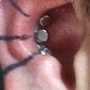 Three fresh conch piercings with Labret studs complete.