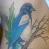 Birdie