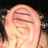 very much healed double industrial piercings