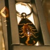 Jewelry Gallery