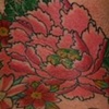 botan