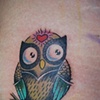 Owl
