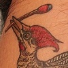 Abe's woodpecker!