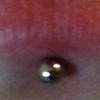 Fresh labret piercing in the center.  Two really healed labret piercings on either side. 