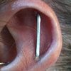 Here's a slightly different angle of the Illusional.