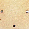 Samantha's 7 healed dermal anchor's on chest (zoomed in)
