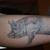 Pig cutting