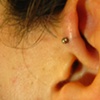 Fresh forward helix with 18g 5/16th straight bb