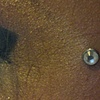 healed dermal anchor with cz (left side)