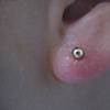 fresh earlobe piercing with gold stud (left ear)