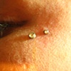 Super healed 14g dermal anchor (left) and a fresh 18g anchor (right)