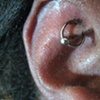 fresh antihelix/rook with captive bead ring